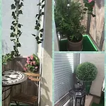 Old Town Vintage Sturova Apartment
