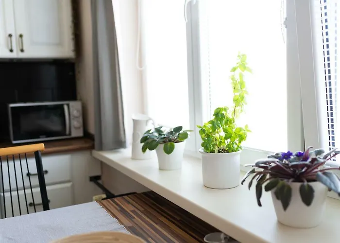 Old Town Vintage Sturova